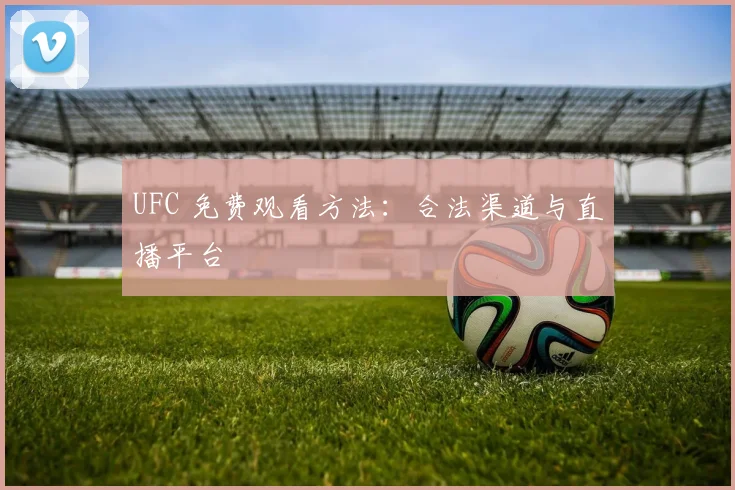 UFC 免费观看方法：合法渠道与直播平台