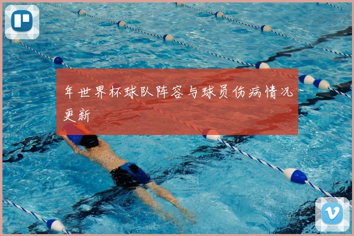 年世界杯球队阵容与球员伤病情况更新