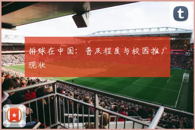 排球在中国:普及程度与校园推广现状